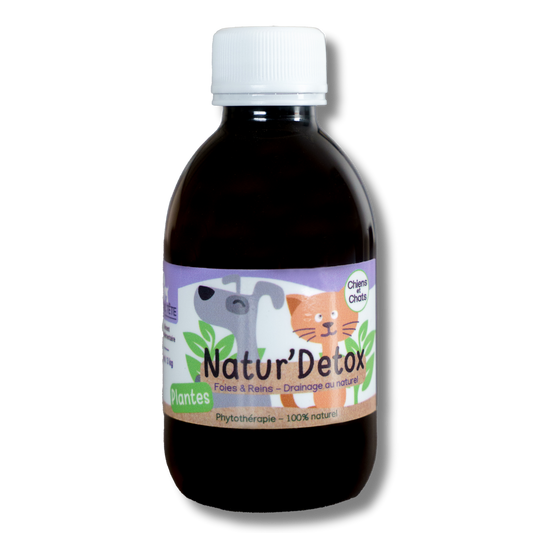 Sirop Drainage Naturel Foie et Reins 200mL - Natur' Detox