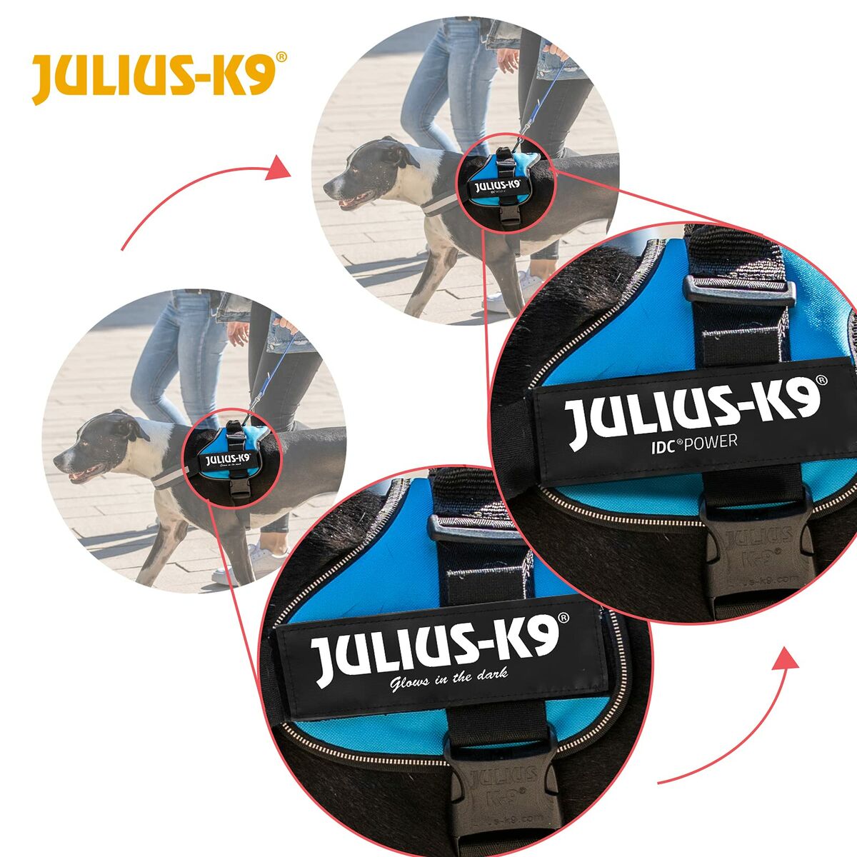 Dog Harness Julius K9 Power Blue S-1